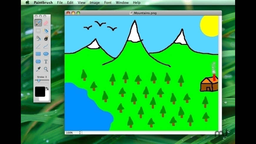 Paint for mac